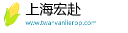 上海宏赴
